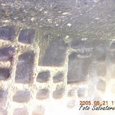 DSCN1229 (Copia)